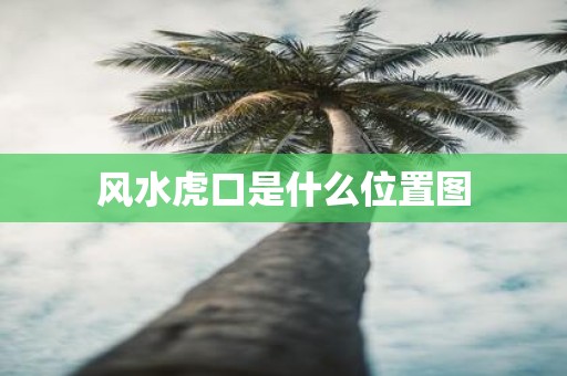 风水虎口是什么位置图