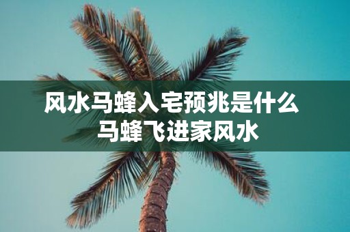 风水马蜂入宅预兆是什么 马蜂飞进家风水