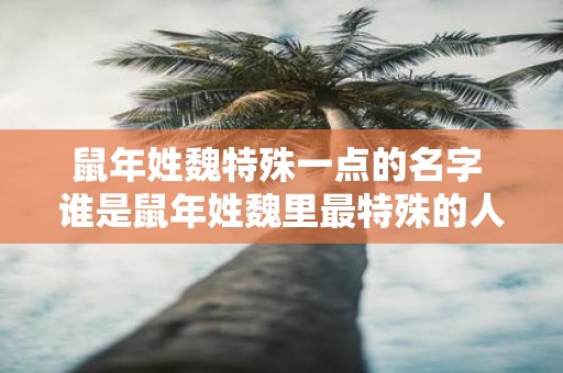 鼠年姓魏特殊一点的名字 谁是鼠年姓魏里最特殊的人