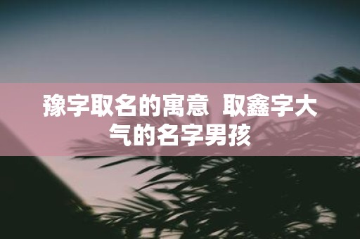 豫字取名的寓意 取鑫字大气的名字男孩