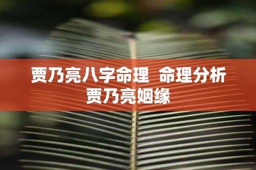 贾乃亮八字命理 命理分析贾乃亮姻缘