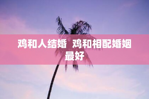 鸡和人结婚 鸡和相配婚姻最好