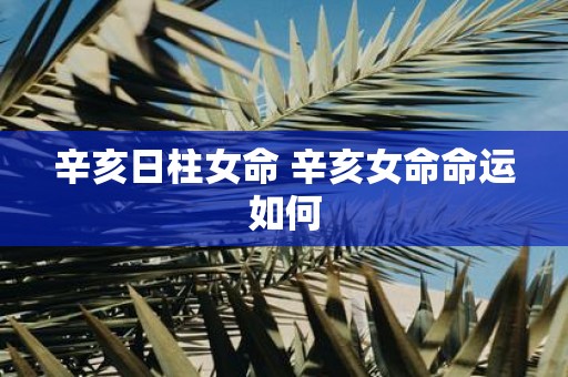 辛亥日柱女命 辛亥女命命运如何