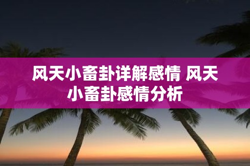 风天小畜卦详解感情 风天小畜卦感情分析