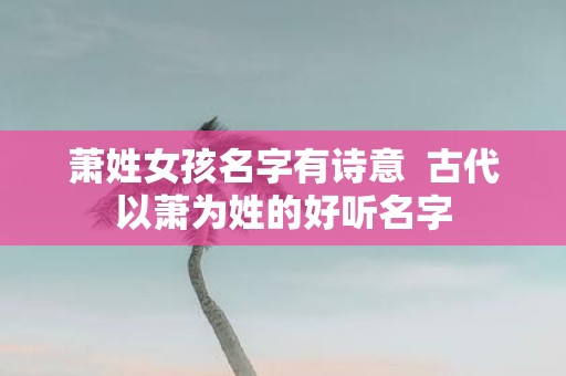 萧姓女孩名字有诗意 古代以萧为姓的好听名字