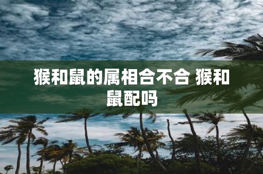 猴和鼠的属相合不合 猴和鼠配吗