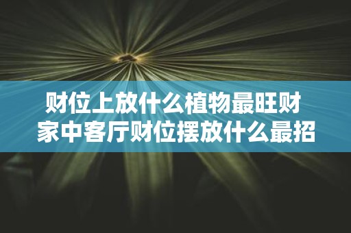 财位上放什么植物最旺财 家中客厅财位摆放什么最招财