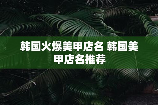 韩国火爆美甲店名 韩国美甲店名推荐