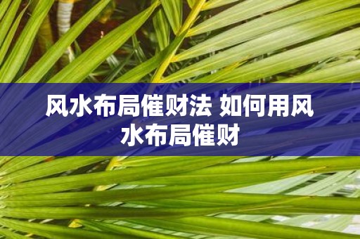 风水布局催财法 如何用风水布局催财