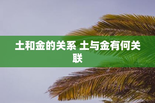 土和金的关系 土与金有何关联