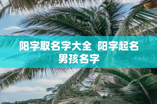 阳字取名字大全 阳字起名男孩名字
