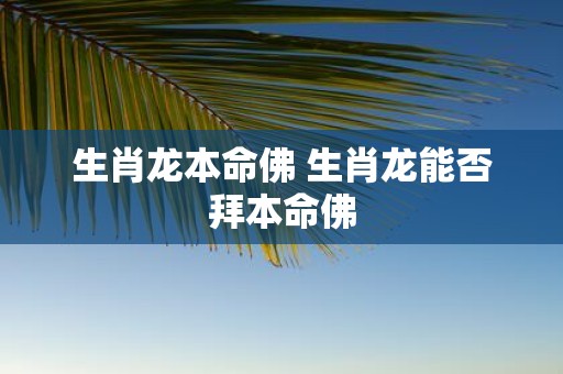 生肖龙本命佛 生肖龙能否拜本命佛