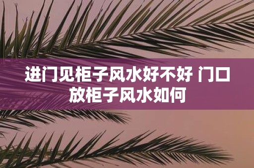 进门见柜子风水好不好 门口放柜子风水如何