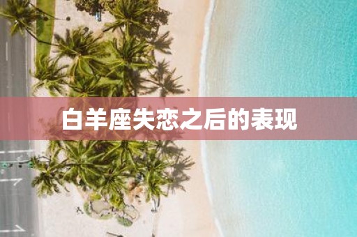 白羊座失恋之后的表现