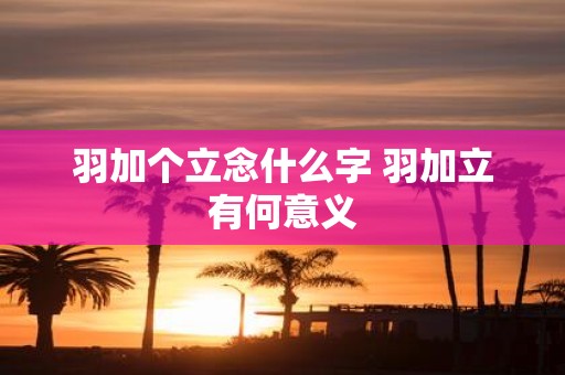 羽加个立念什么字 羽加立有何意义