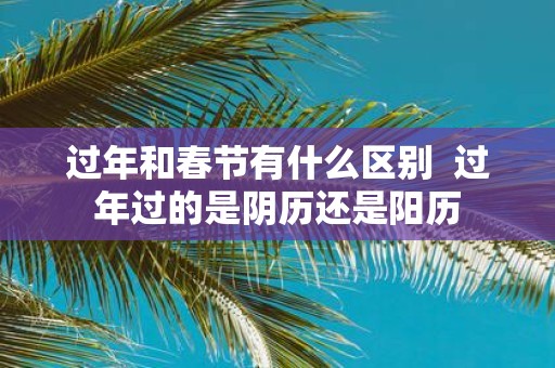 过年和春节有什么区别 过年过的是阴历还是阳历