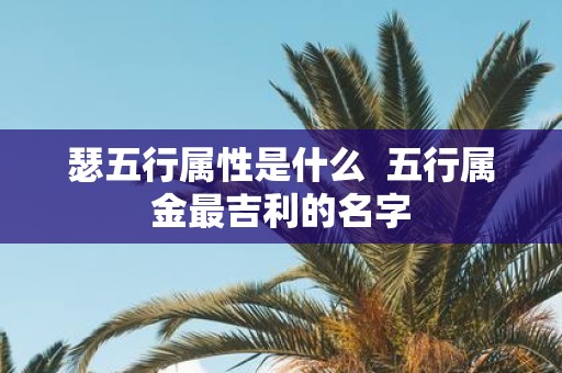 瑟五行属性是什么 五行属金最吉利的名字