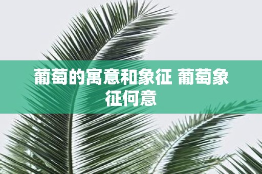 葡萄的寓意和象征 葡萄象征何意