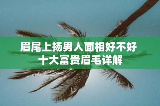 眉尾上扬男人面相好不好 十大富贵眉毛详解