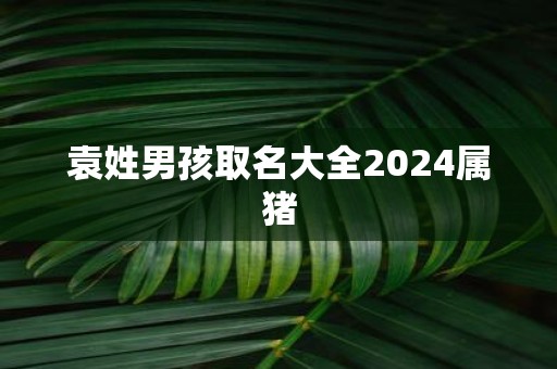 袁姓男孩取名大全2025属猪
