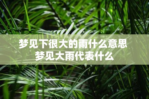 梦见下很大的雨什么意思 梦见大雨代表什么