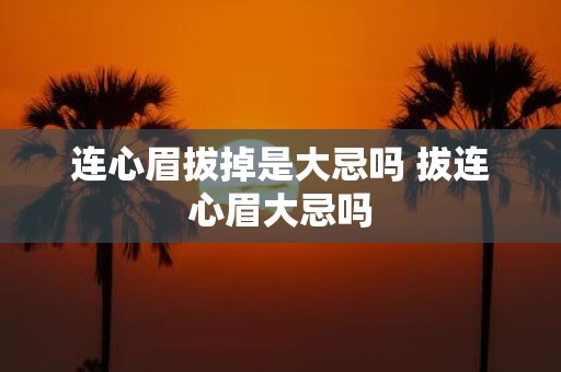 连心眉拔掉是大忌吗 拔连心眉大忌吗