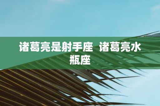 诸葛亮是射手座 诸葛亮水瓶座