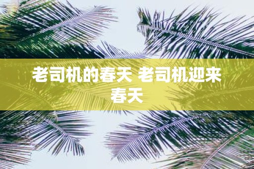 老司机的春天 老司机迎来春天