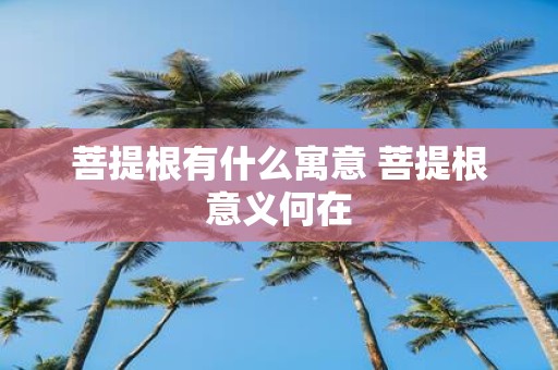 菩提根有什么寓意 菩提根意义何在