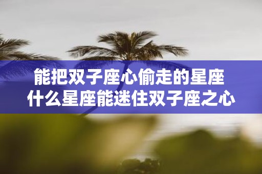 能把双子座心偷走的星座 什么星座能迷住双子座之心