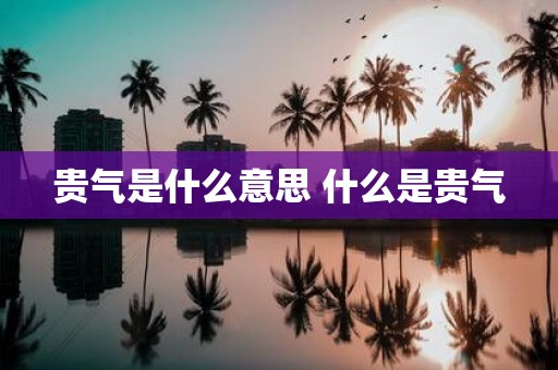 贵气是什么意思 什么是贵气