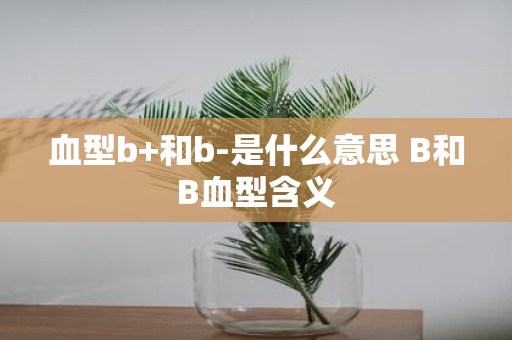 血型b+和b-是什么意思 B和B血型含义