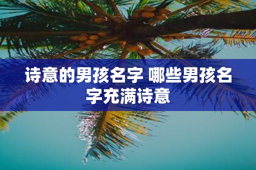 诗意的男孩名字 哪些男孩名字充满诗意