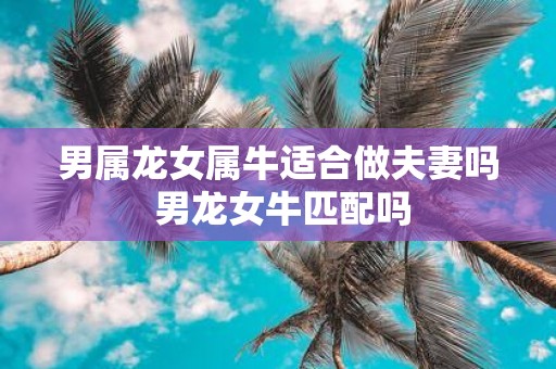 男属龙女属牛适合做夫妻吗 男龙女牛匹配吗