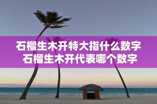石榴生木开特大指什么数字 石榴生木开代表哪个数字