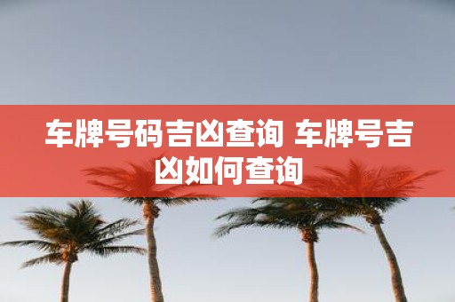 车牌号码吉凶查询 车牌号吉凶如何查询