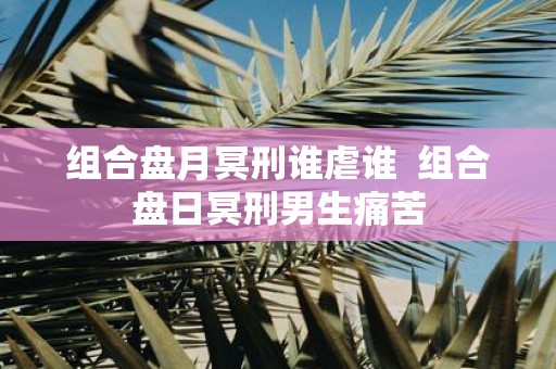 组合盘月冥刑谁虐谁 组合盘日冥刑男生痛苦