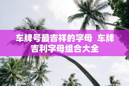 车牌号最吉祥的字母 车牌吉利字母组合大全