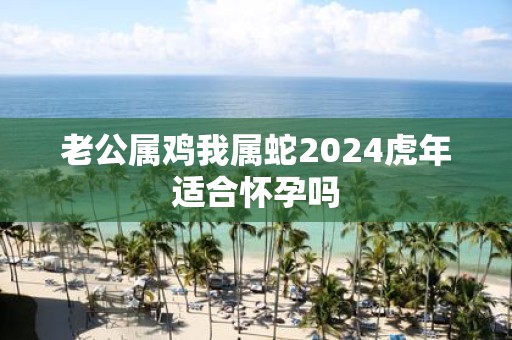 老公属鸡我属蛇2025虎年适合怀孕吗