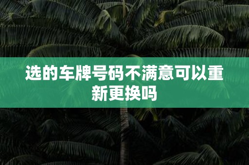 选的车牌号码不满意可以重新更换吗 选的车牌号码不满意可以重新更换吗
