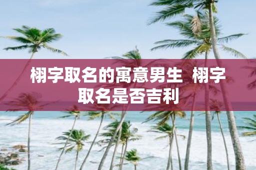 栩字取名的寓意男生 栩字取名是否吉利