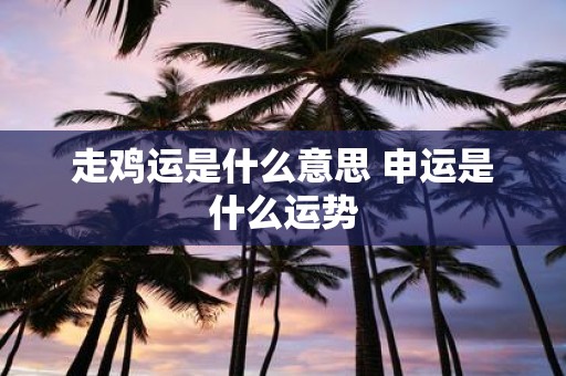 走鸡运是什么意思 申运是什么运势