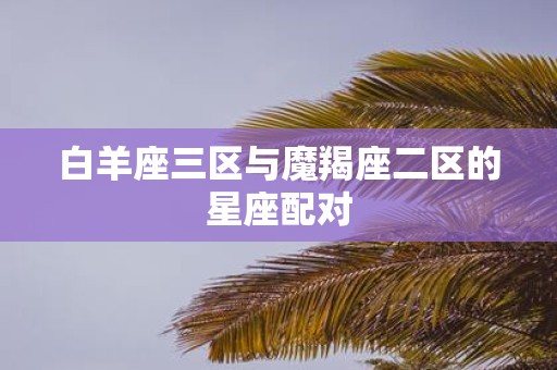 白羊座三区与魔羯座二区的星座配对