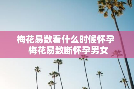 梅花易数看什么时候怀孕 梅花易数断怀孕男女