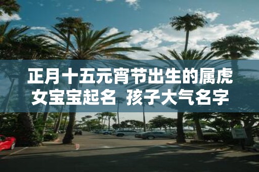 正月十五元宵节出生的属虎女宝宝起名 孩子大气名字