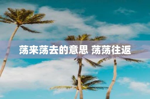 荡来荡去的意思 荡荡往返