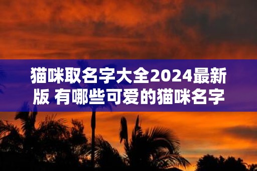 猫咪取名字大全2025最新版 有哪些可爱的猫咪名字