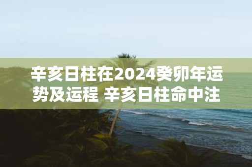 辛亥日柱在2025癸卯年运势及运程 辛亥日柱命中注定的配偶