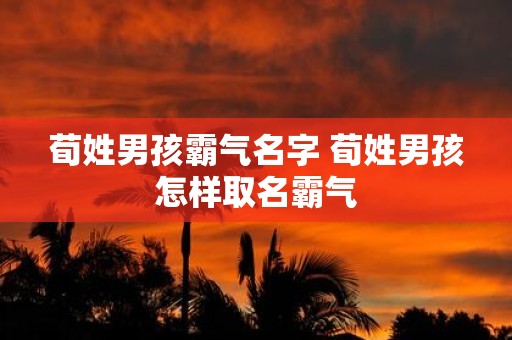 荀姓男孩霸气名字 荀姓男孩怎样取名霸气