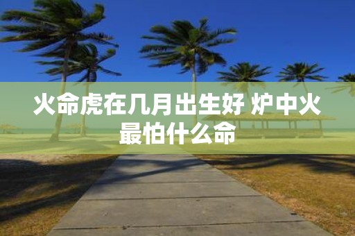 火命虎在几月出生好 炉中火最怕什么命